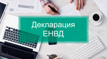 сроки декларации ЕНВД